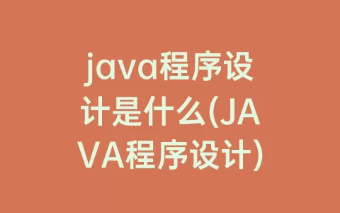 java程序设计是什么(JAVA程序设计)