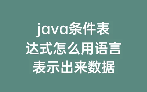 java条件表达式怎么用语言表示出来数据