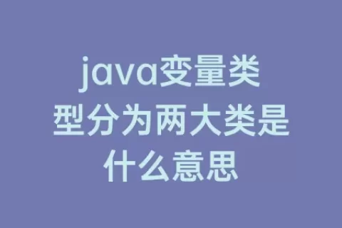 java变量类型分为两大类是什么意思