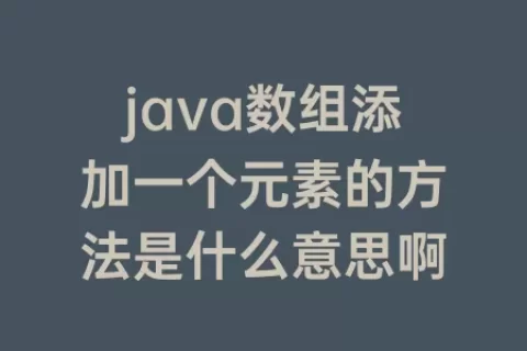java数组添加一个元素的方法是什么意思啊