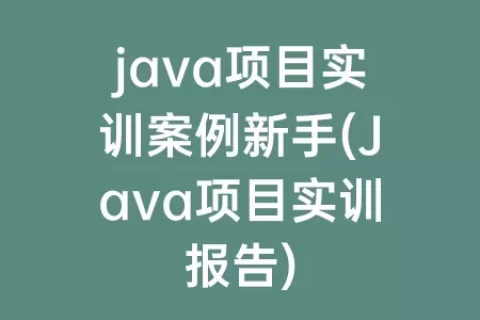 java项目实训案例新手(Java项目实训报告)
