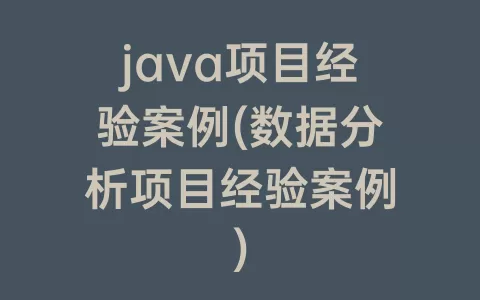 java项目经验案例(数据分析项目经验案例)