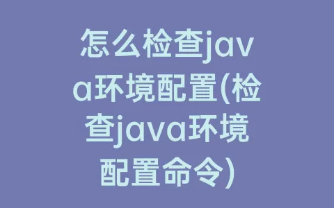 怎么检查java环境配置(检查java环境配置命令)