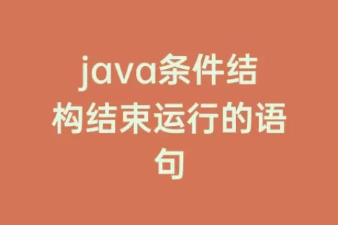 java条件结构结束运行的语句