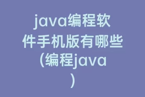java编程软件手机版有哪些(编程java)