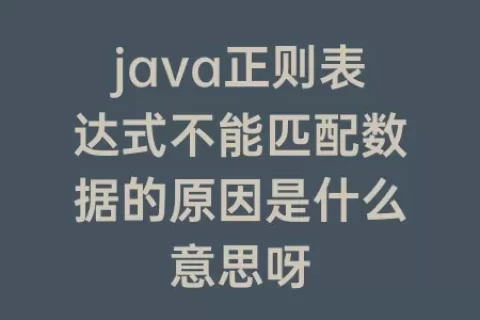 java正则表达式不能匹配数据的原因是什么意思呀