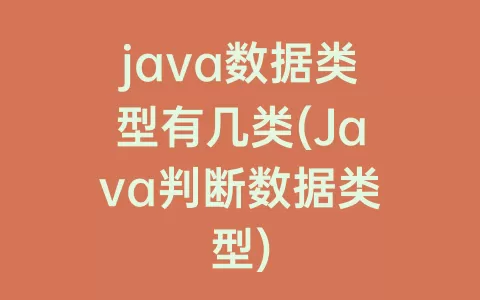 java数据类型有几类(Java判断数据类型)