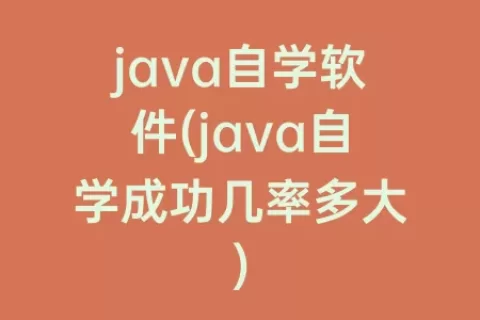java自学软件(java自学成功几率多大)