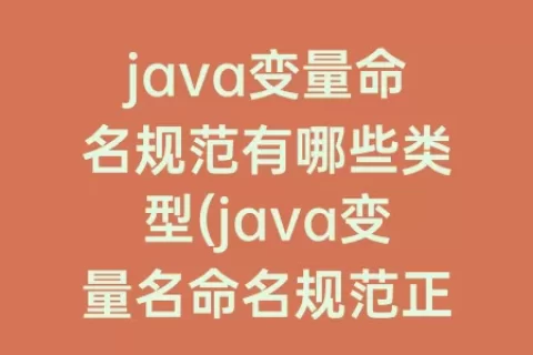 java变量命名规范有哪些类型(java变量名命名规范正确的是)