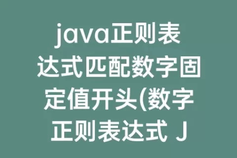 java正则表达式匹配数字固定值开头(数字正则表达式 Java)