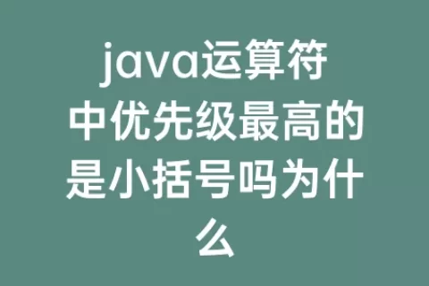 java运算符中优先级最高的是小括号吗为什么