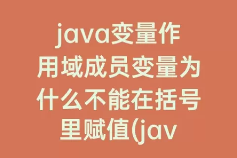 java变量作用域成员变量为什么不能在括号里赋值(java变量作用域)