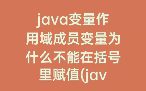 java变量作用域成员变量为什么不能在括号里赋值(java变量作用域)