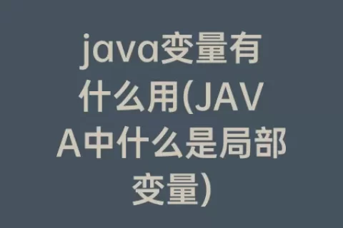 java变量有什么用(JAVA中什么是局部变量)