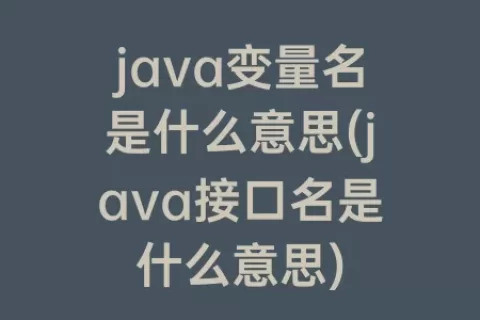 java变量名是什么意思(java接口名是什么意思)