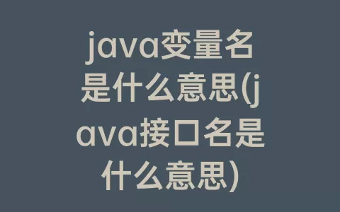 java变量名是什么意思(java接口名是什么意思)