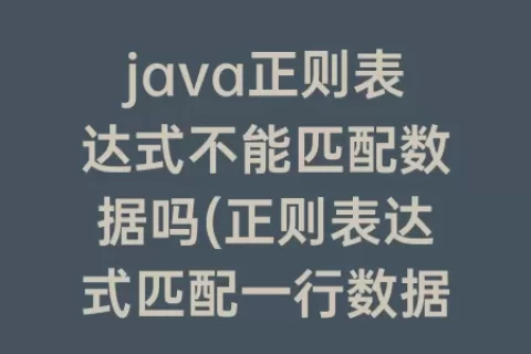 java正则表达式不能匹配数据吗(正则表达式匹配一行数据)