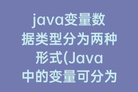 java变量数据类型分为两种形式(Java中的变量可分为什么数据类型)