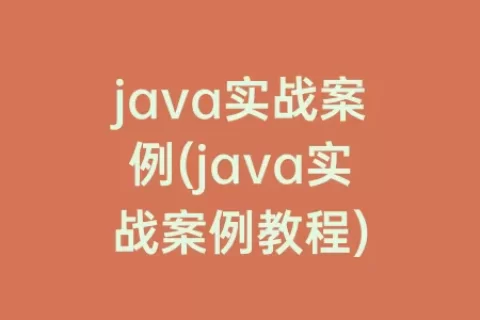 java实战案例(java实战案例教程)