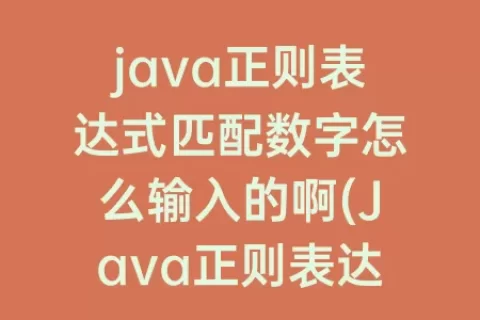 java正则表达式匹配数字怎么输入的啊(Java正则表达式匹配日期)