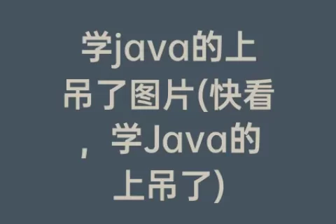 学java的上吊了图片(快看，学Java的上吊了)