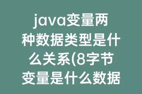 java变量两种数据类型是什么关系(8字节变量是什么数据类型)