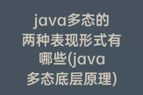 java多态的两种表现形式有哪些(java多态底层原理)
