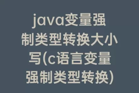 java变量强制类型转换大小写(c语言变量强制类型转换)
