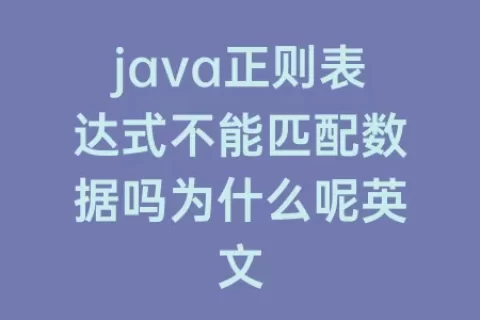 java正则表达式不能匹配数据吗为什么呢英文