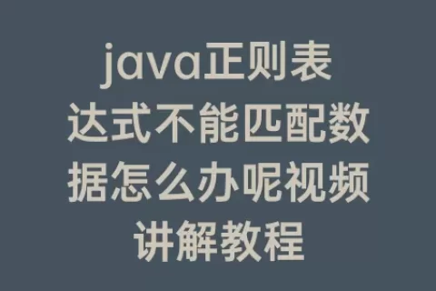 java正则表达式不能匹配数据怎么办呢视频讲解教程