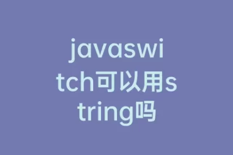 javaswitch可以用string吗