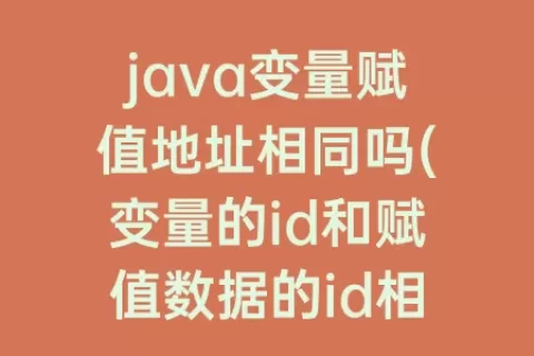 java变量赋值地址相同吗(变量的id和赋值数据的id相同吗)