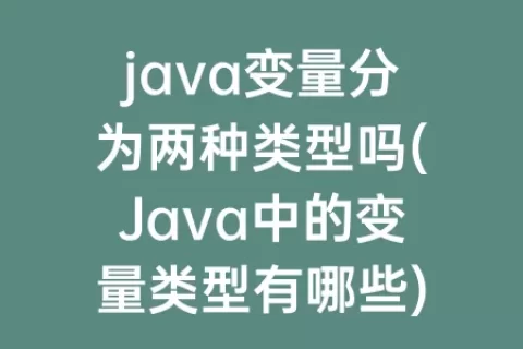 java变量分为两种类型吗(Java中的变量类型有哪些)