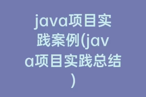 java项目实践案例(java项目实践总结)