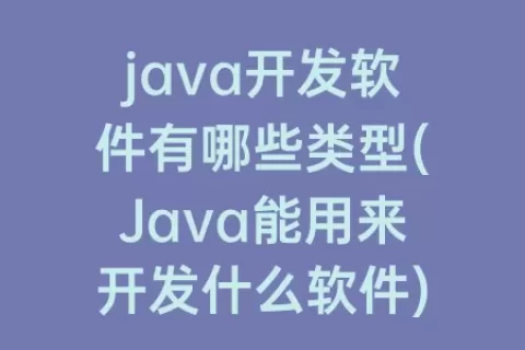 java开发软件有哪些类型(Java能用来开发什么软件)