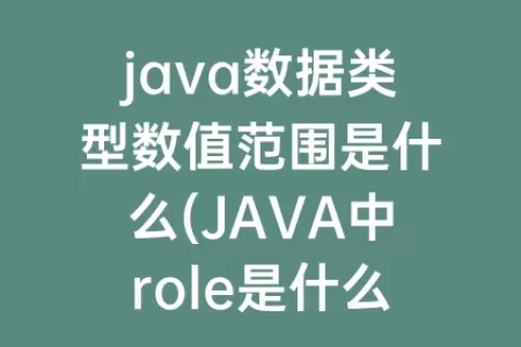 java数据类型数值范围是什么(JAVA中role是什么数据类型)