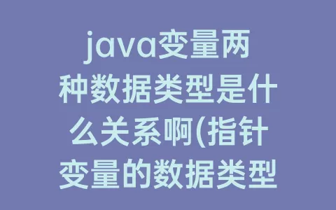 java变量两种数据类型是什么关系啊(指针变量的数据类型是什么)