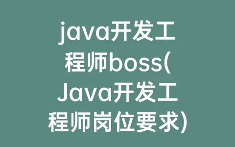 java开发工程师boss(Java开发工程师岗位要求)