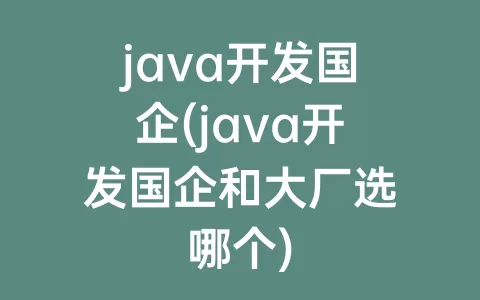 java开发国企(java开发国企和大厂选哪个)