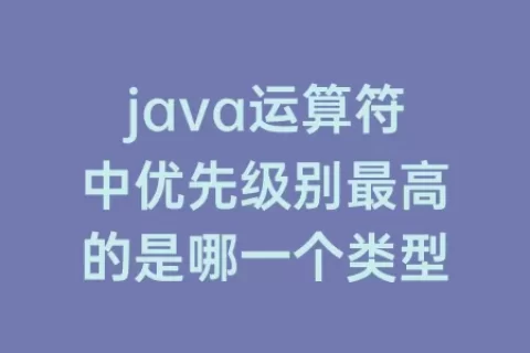 java运算符中优先级别最高的是哪一个类型