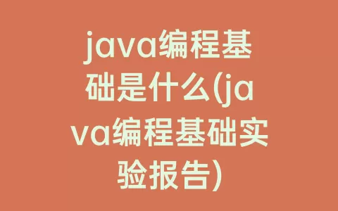 java编程基础是什么(java编程基础实验报告)