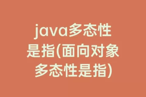 java多态性是指(面向对象多态性是指)