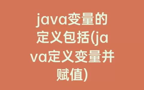 java变量的定义包括(java定义变量并赋值)