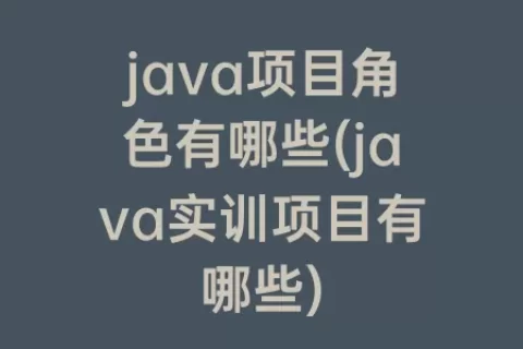 java项目角色有哪些(java实训项目有哪些)