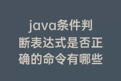 java条件判断表达式是否正确的命令有哪些