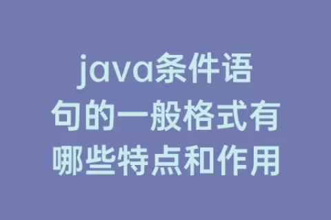 java条件语句的一般格式有哪些特点和作用