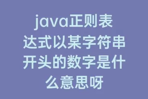 java正则表达式以某字符串开头的数字是什么意思呀