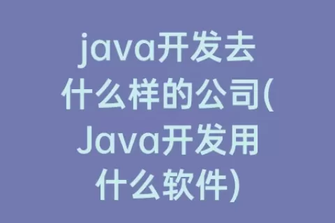 java开发去什么样的公司(Java开发用什么软件)