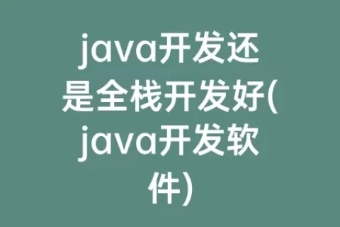 java开发还是全栈开发好(java开发软件)