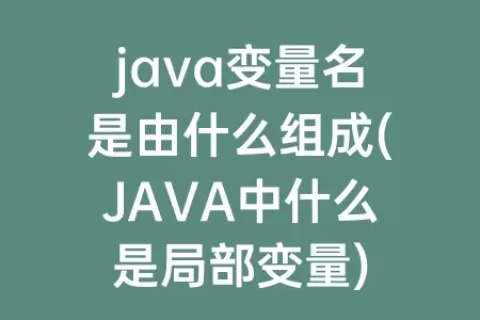 java变量名是由什么组成(JAVA中什么是局部变量)